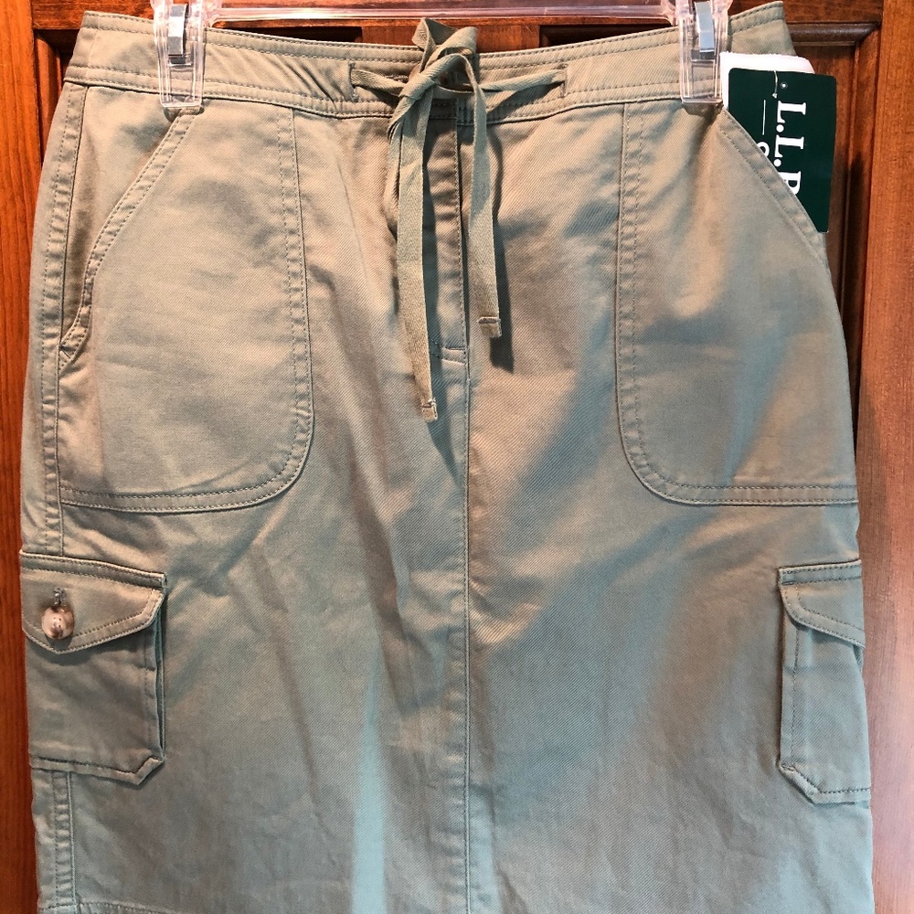 Skirt - NWT